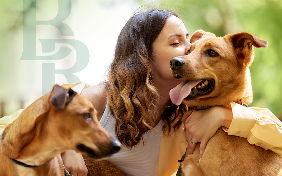 Woman playing with two dogs. Welcome to Bark Royale.