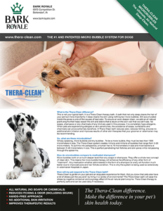 Thera Clean Brochure