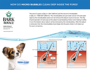 Bark Royale Micro Bubbles Deep Pore Clean Brochure